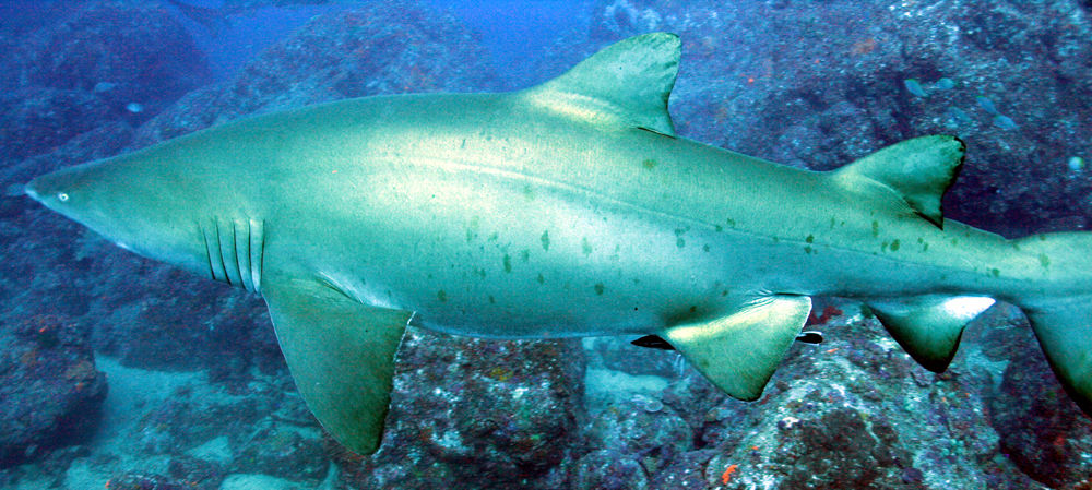 b4316857-a391-4b14-8a34-f37e3474ce9f