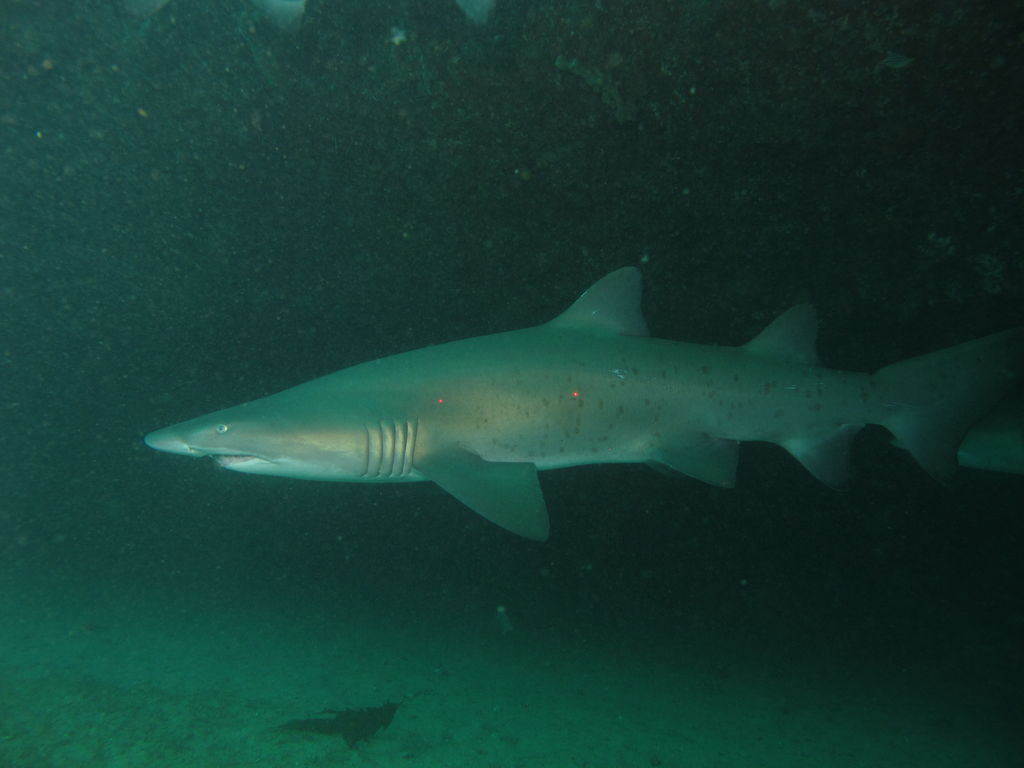 439ac240-00bc-421e-8ebe-27a7f5a7d845