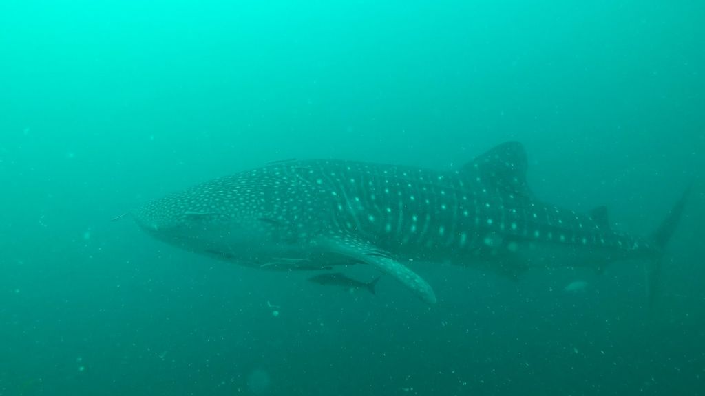 eb3d5765-497d-4186-a54b-60e0dda68152