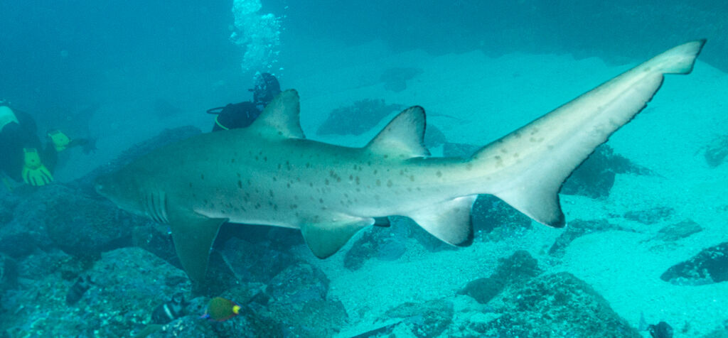 8525593e-7224-47e7-b142-94126f01daa3