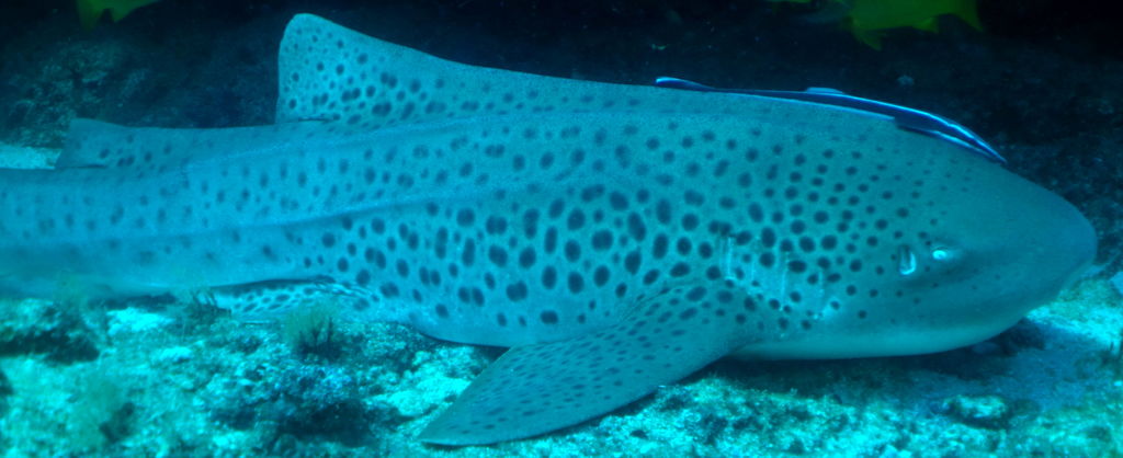 8e26bfbc-f304-49e6-a781-66233c596e78