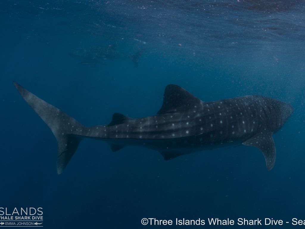 39b27fdf-9cc8-4df8-b4f1-55ecb7d21117