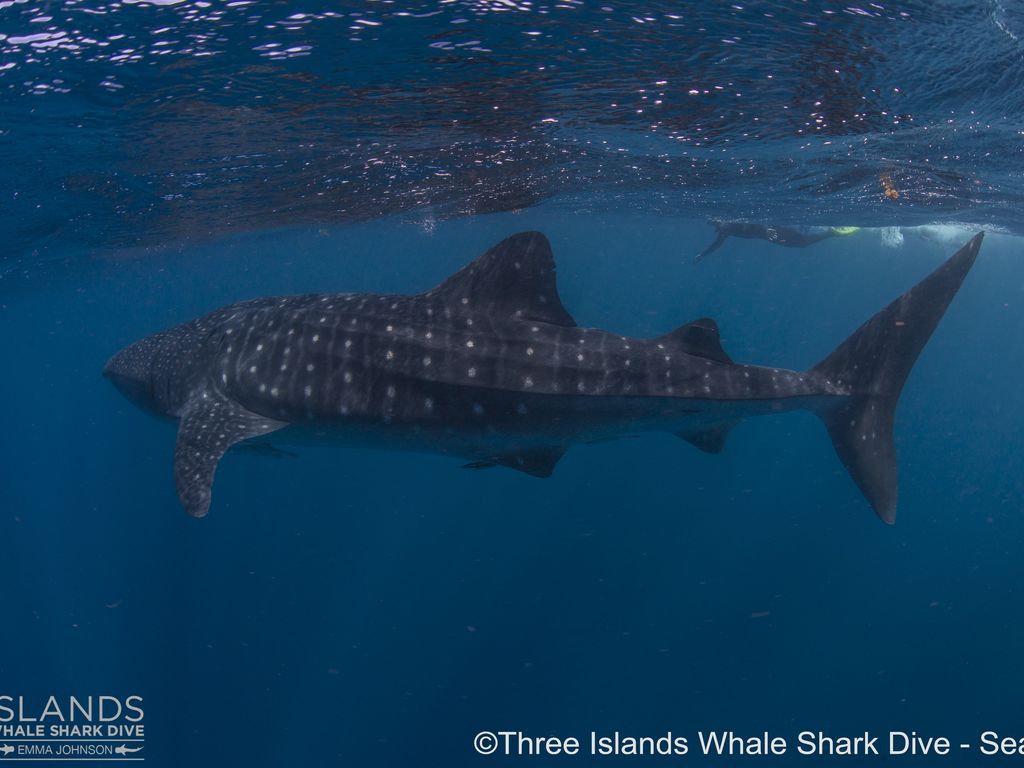 39b27fdf-9cc8-4df8-b4f1-55ecb7d21117