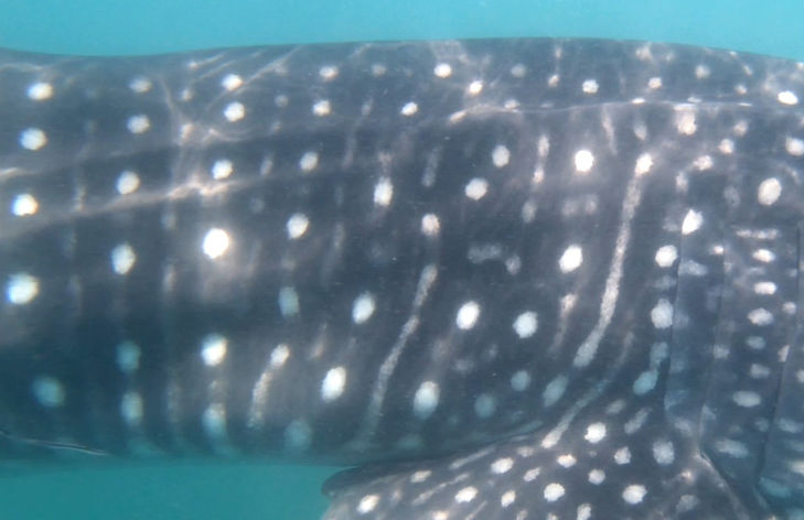 fdc901be-e439-4106-a4fd-4bb0fa263fa6