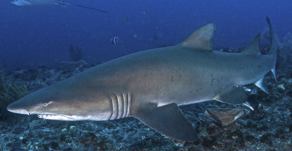 cecde9d4-6c6b-433f-9f8d-090fdf5f9548