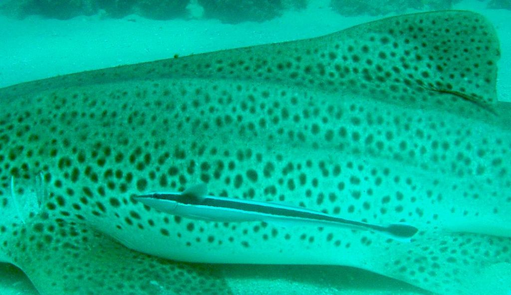 ac01582a-9bea-46c8-81b9-3a504f915f6a