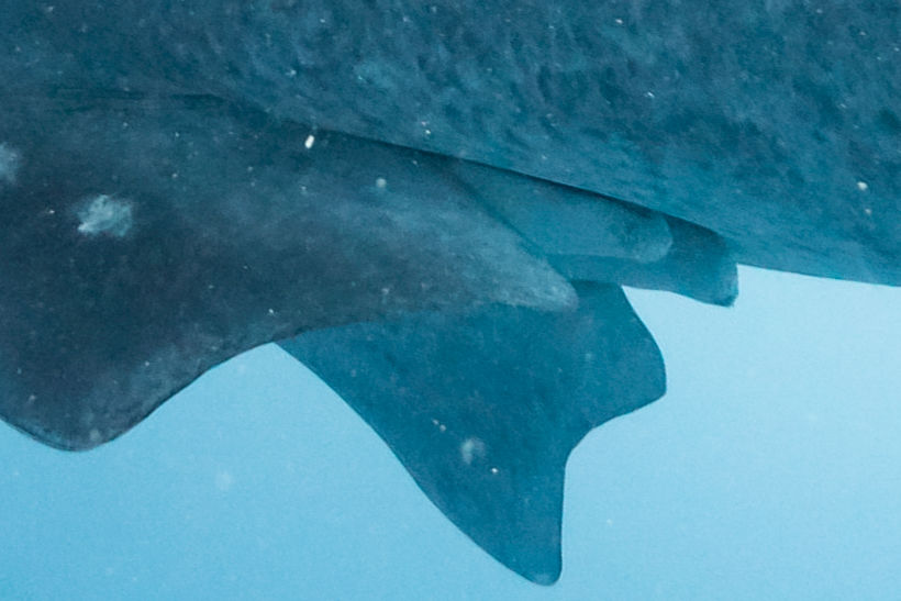 11cdf02d-a89d-4c72-b655-b241bf27a35e