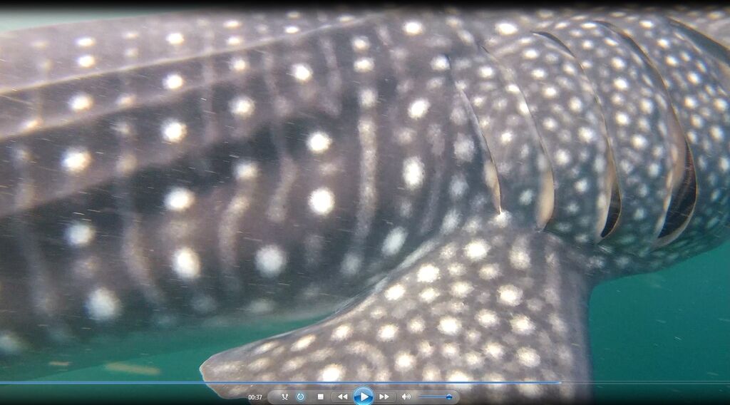 eef48583-9c7d-4ed8-8a35-4ca43e2e0c70