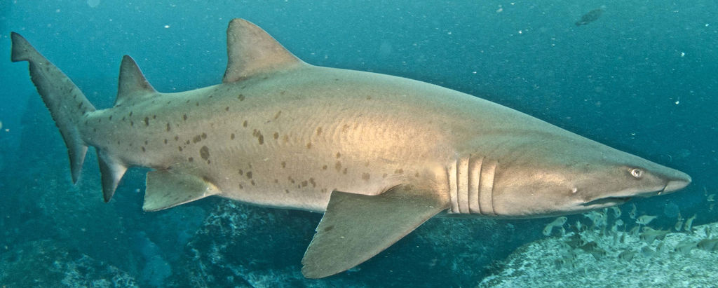 36b32498-8bb1-4dca-b229-1cb523215a34