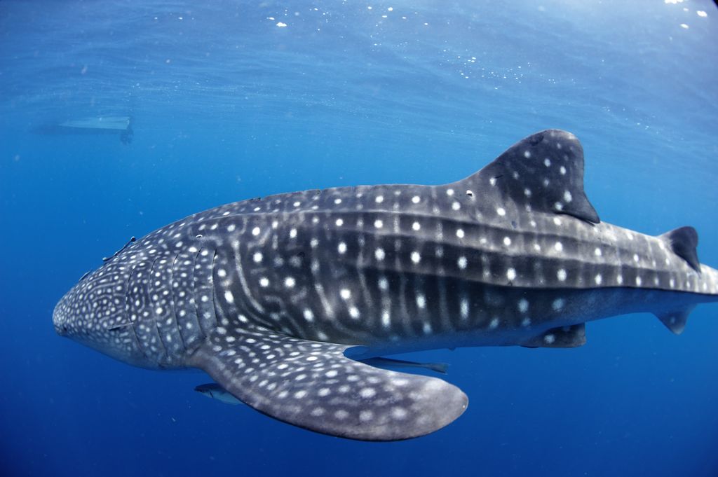 c6e85104-6d8f-4ce3-af4c-fbeeebe14664