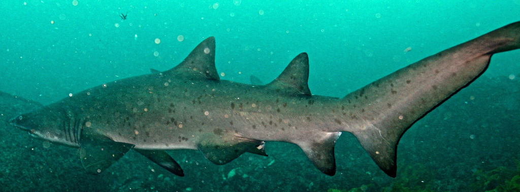 1bd6abbb-a61a-46ee-96ec-87dfa014792f