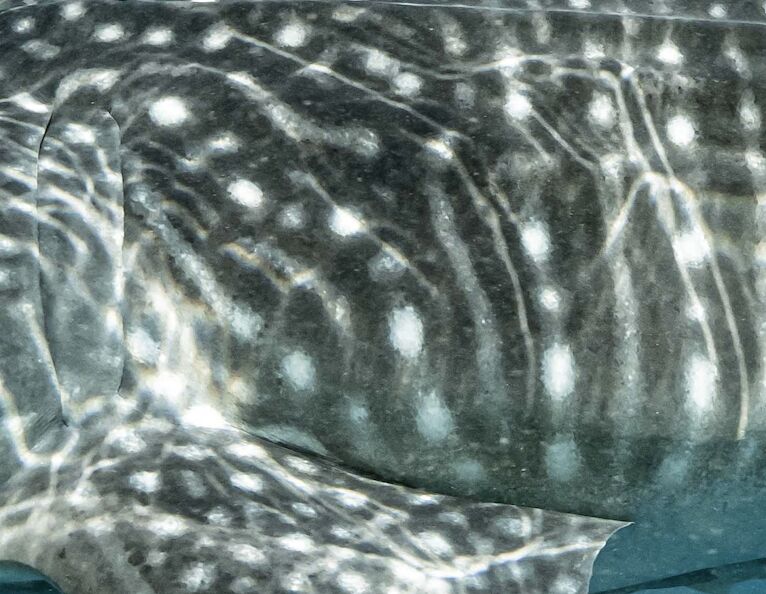 dc44fcfc-7c09-4aa7-b42d-1402e38ee93f