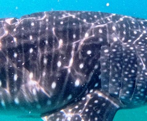 15e47ece-88f2-4fa8-bf78-d6d995e955ba