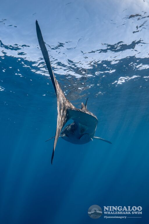 77fd0c85-3d76-4fb4-98d7-87a94f04cffc