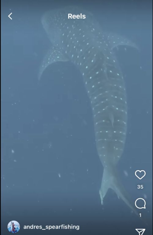 a7acf8a8-eaac-4995-88dc-ebabece972cc