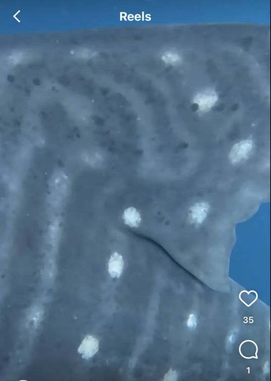 a7acf8a8-eaac-4995-88dc-ebabece972cc