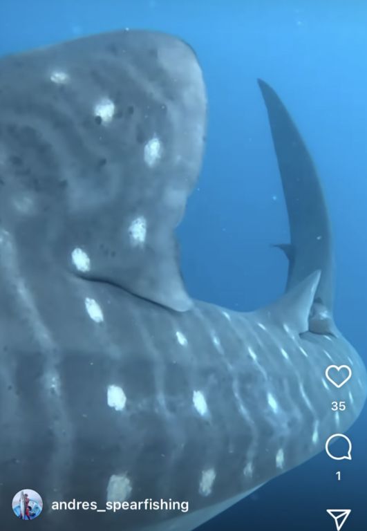 a7acf8a8-eaac-4995-88dc-ebabece972cc