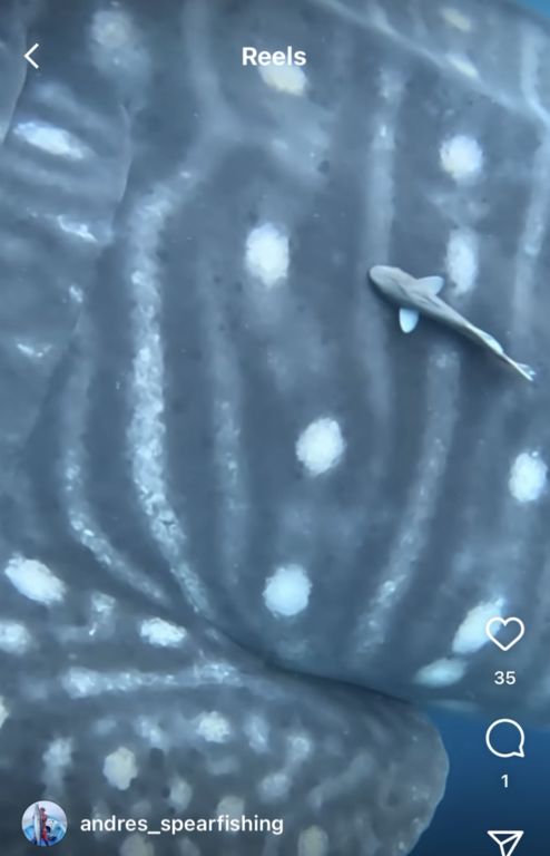 a7acf8a8-eaac-4995-88dc-ebabece972cc