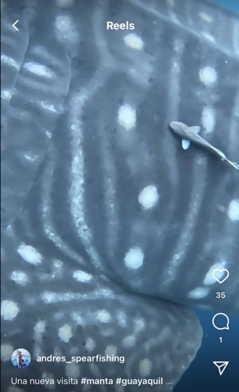 a7acf8a8-eaac-4995-88dc-ebabece972cc