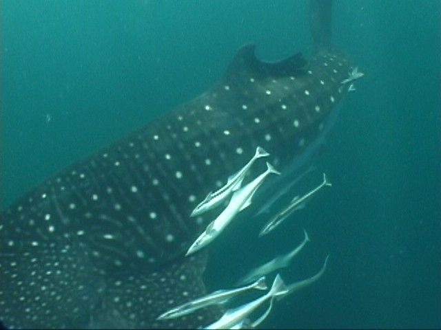 5197e5d6-54da-4144-9622-4944b65f4a41