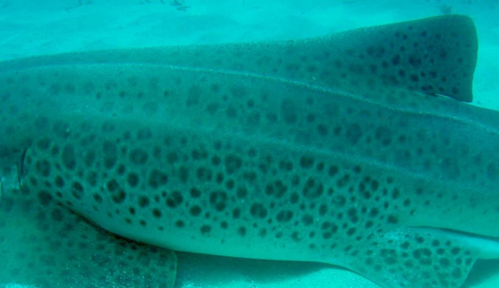 6cfd2ca6-e281-40ca-a79e-6d62d528adf1