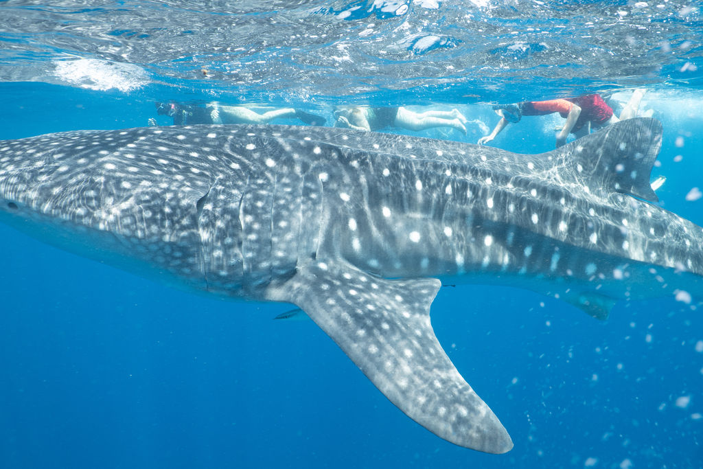 bfe5fcba-1e64-47d4-b0e2-0ca02351d37f