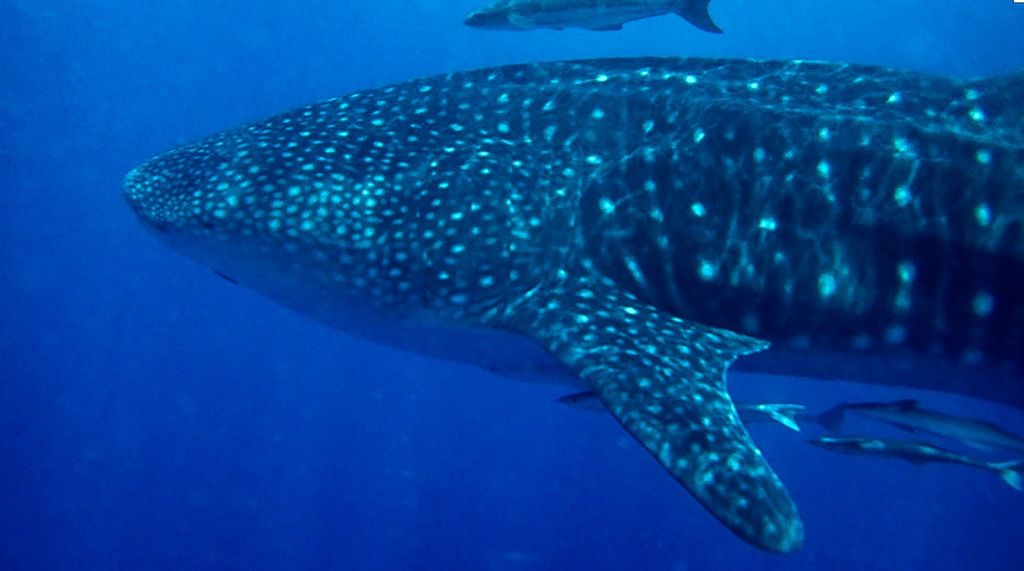 261d9b85-ccd5-40be-aa4d-500f06f2c0dc