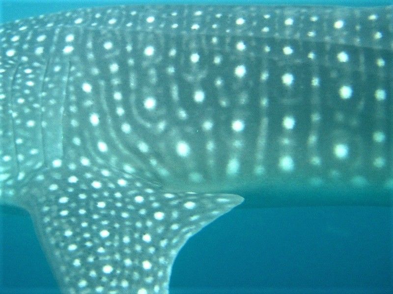 aba8887a-f23c-4703-a725-db83afbecc87