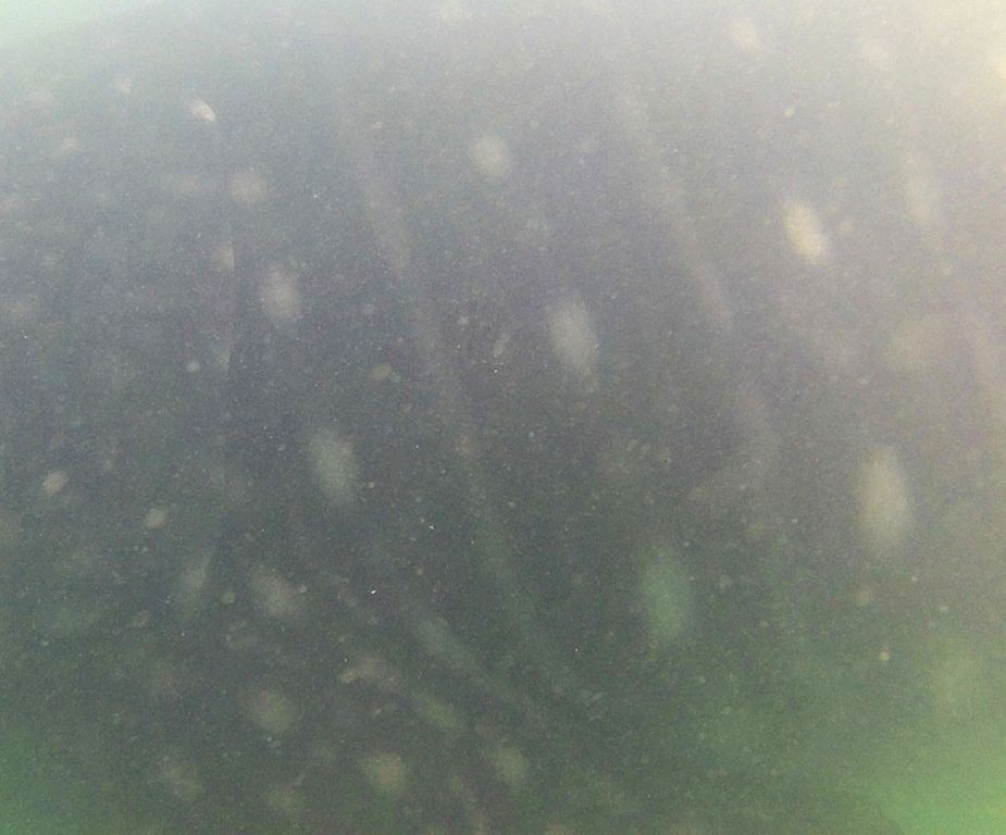 fa441fad-2ab2-4fda-bdca-c91fad095464