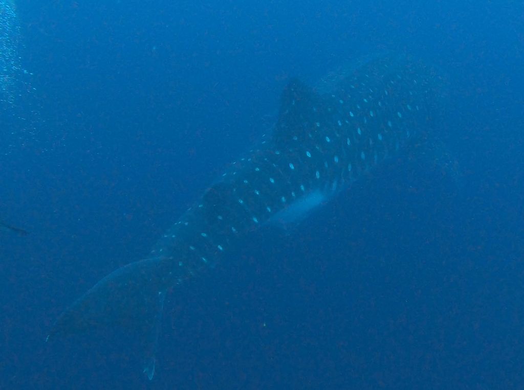 80415d80-cefe-47d9-b8e7-2e46a5fd0ebd