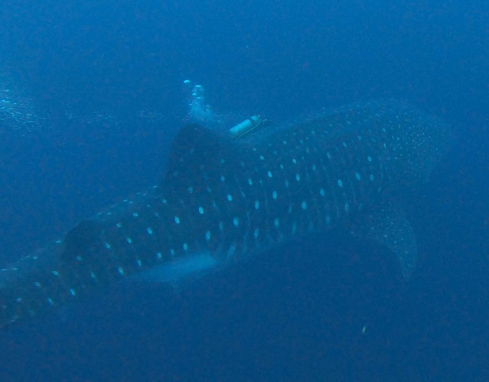 80415d80-cefe-47d9-b8e7-2e46a5fd0ebd