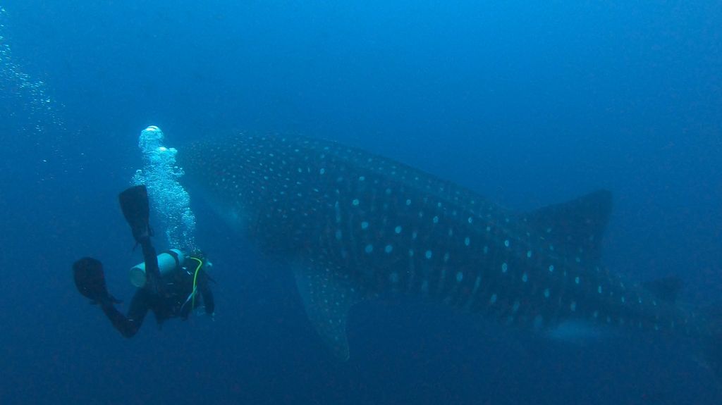 80415d80-cefe-47d9-b8e7-2e46a5fd0ebd