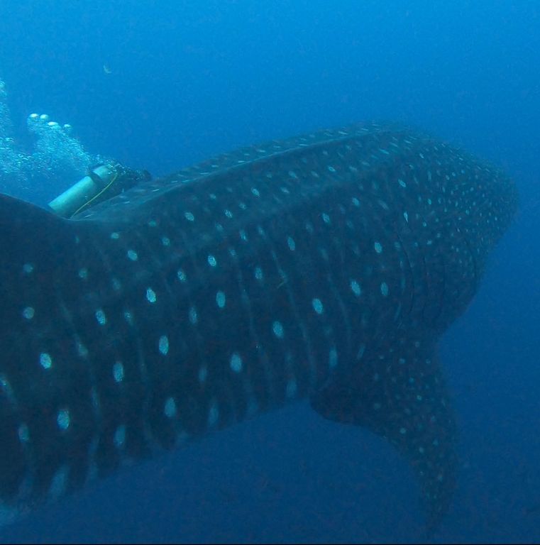 80415d80-cefe-47d9-b8e7-2e46a5fd0ebd