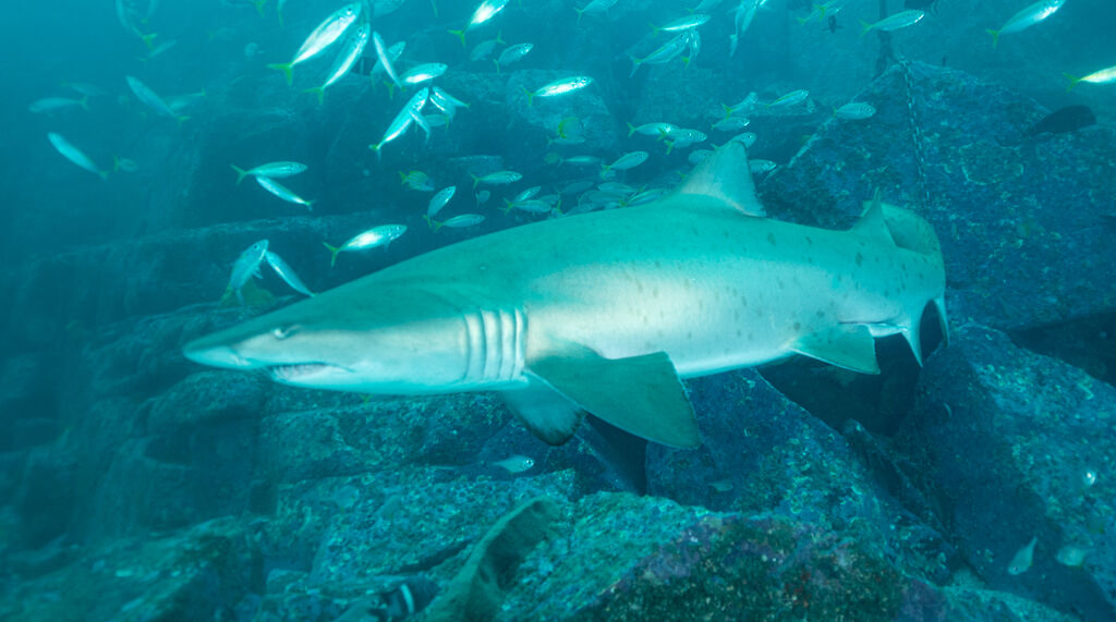 3e56c7ed-c568-40f6-81b6-f7a32513b989