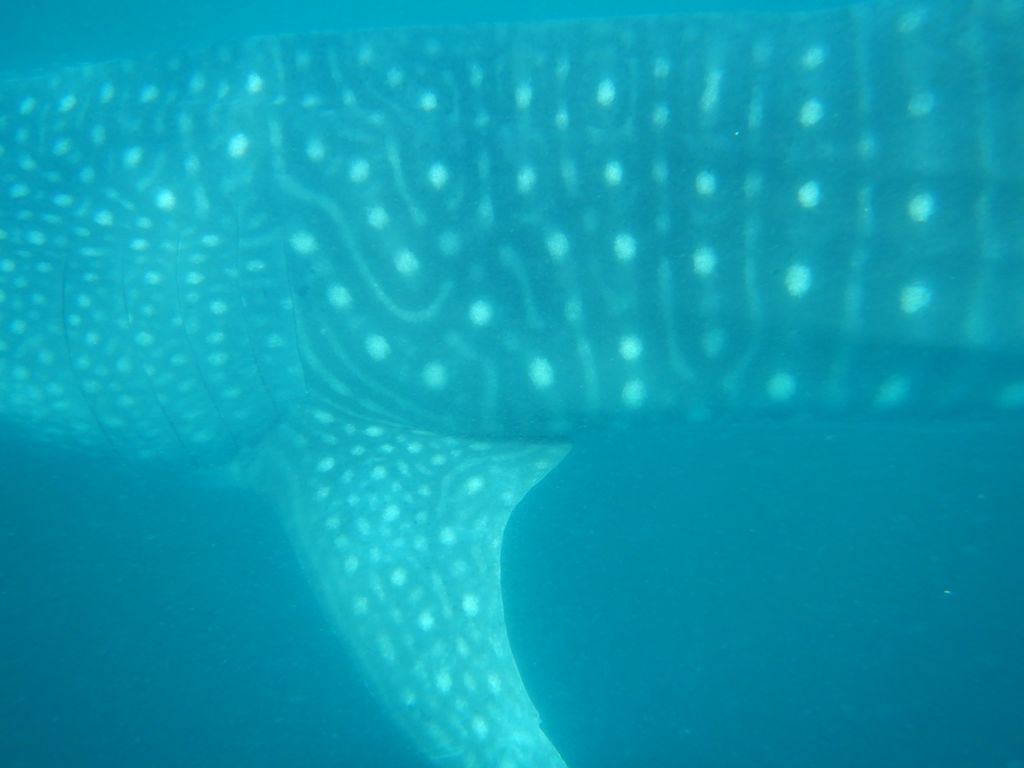 f9f66b27-b6ce-4e58-953c-42ed56e979dd