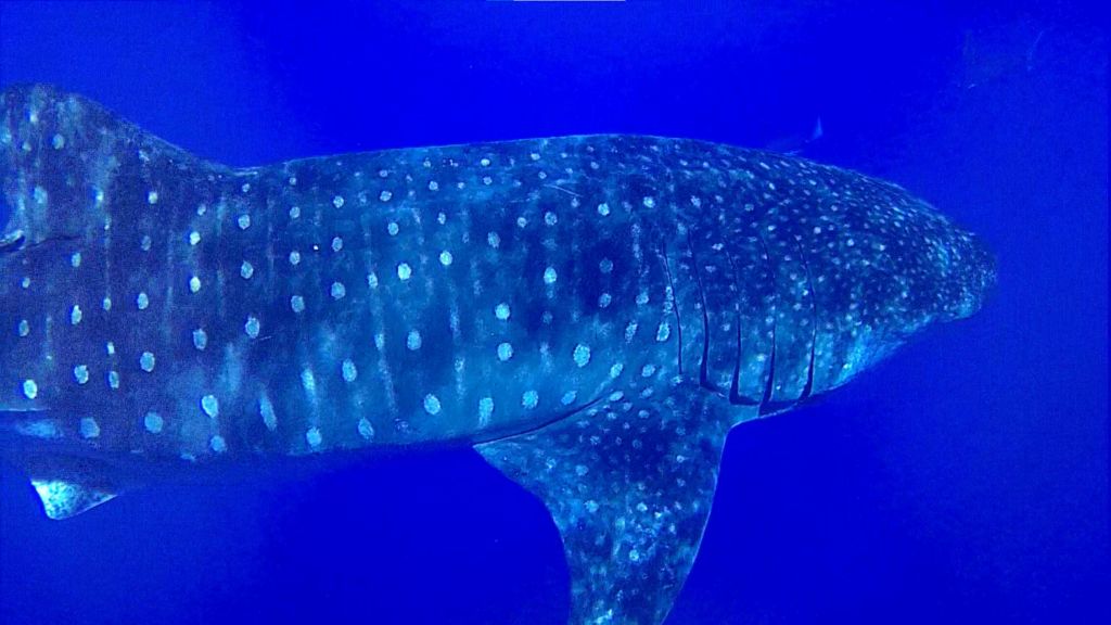 1c85d389-e54d-498b-b934-773dc43b55d3