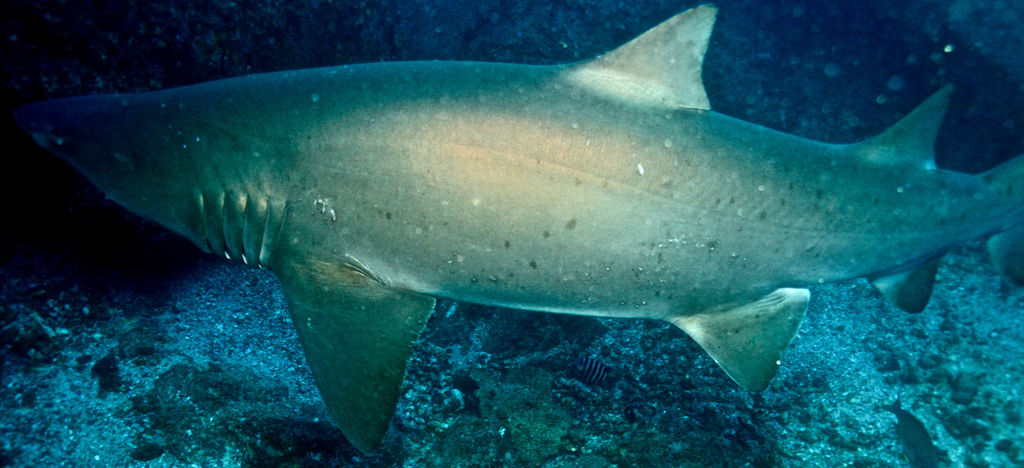 a80923c4-dc30-4d48-800d-3db1cdbf366d