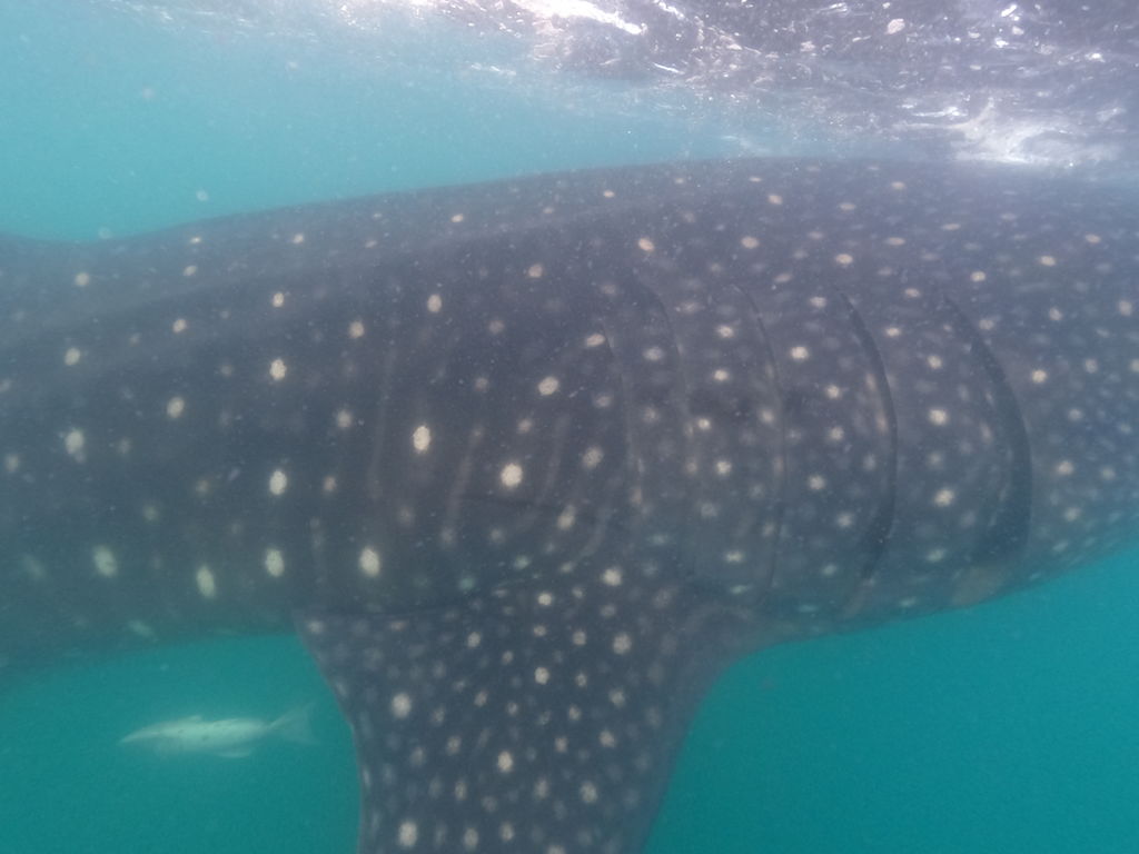 01d97bca-2a1a-48c0-99f8-c5b54a33304d