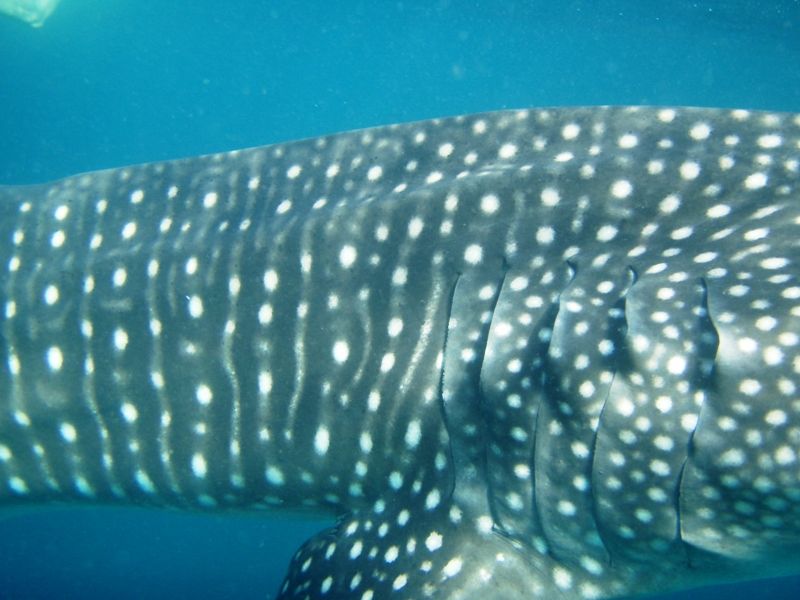 96b13772-1579-4e4d-8664-162a7ab26c52