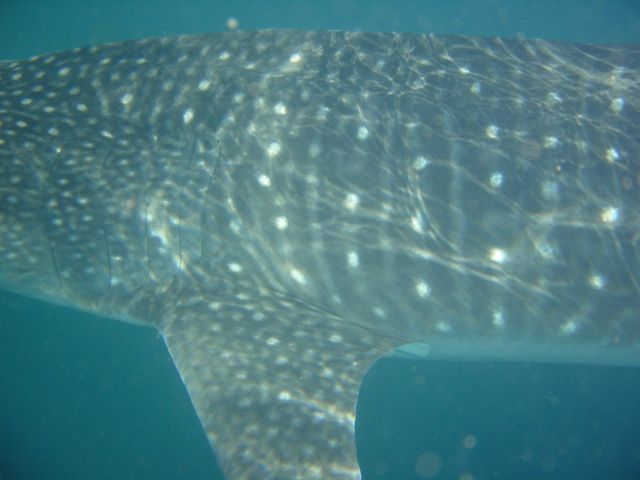 5547c05e-2c2d-4228-b28a-88c31dce8c5d