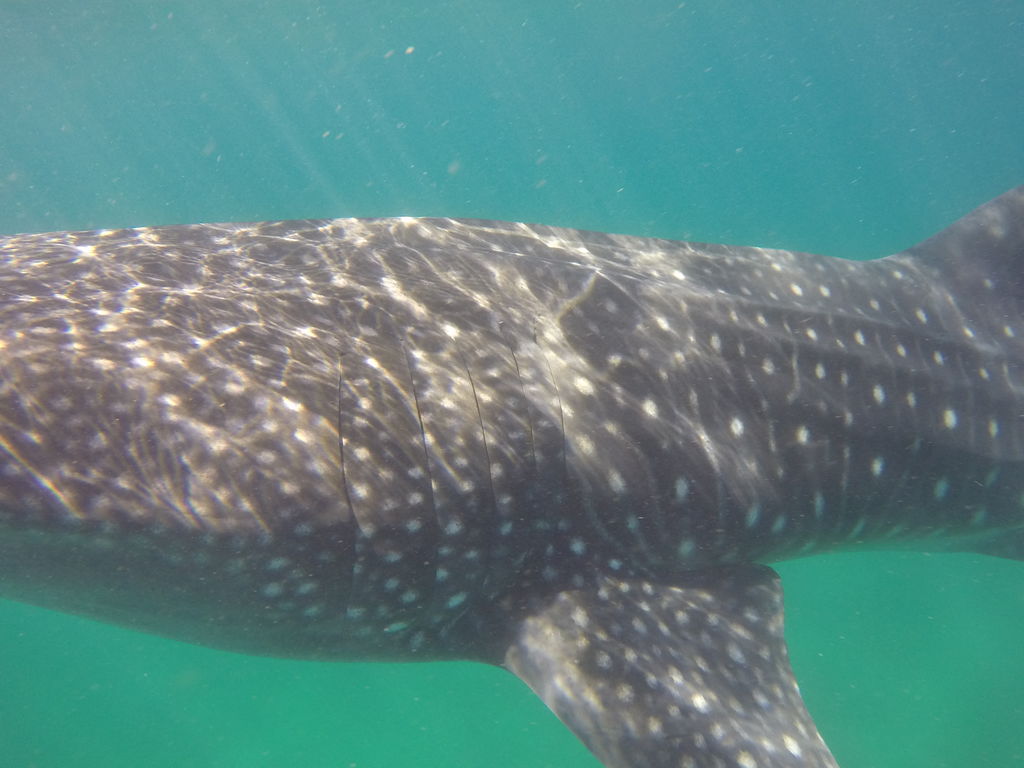 05f47b99-48ab-4f6f-830b-9d7b55887bb6