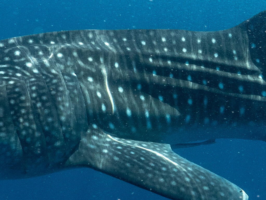 167f89c4-5970-4c21-9551-419607a98500