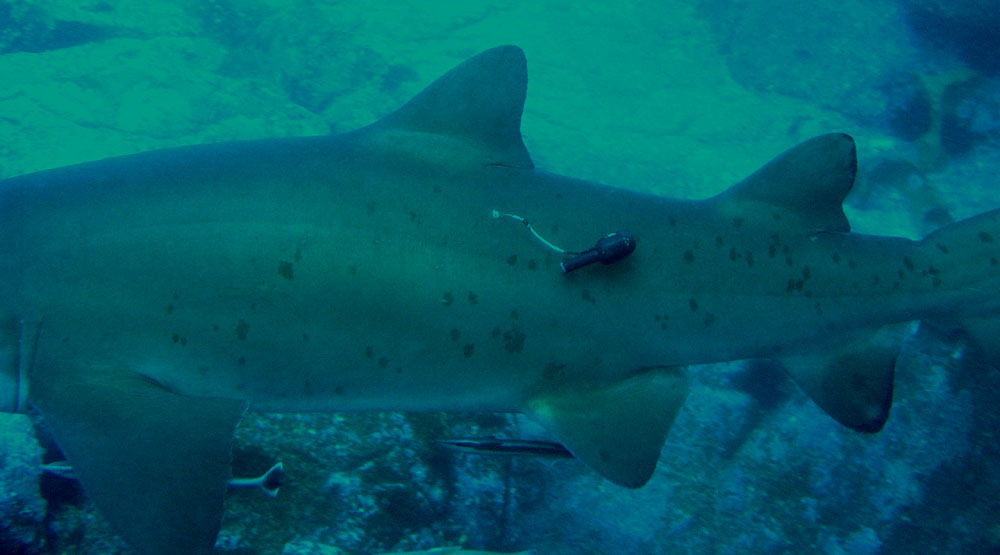 60662fdd-b071-4ec4-b585-8af0fac15576