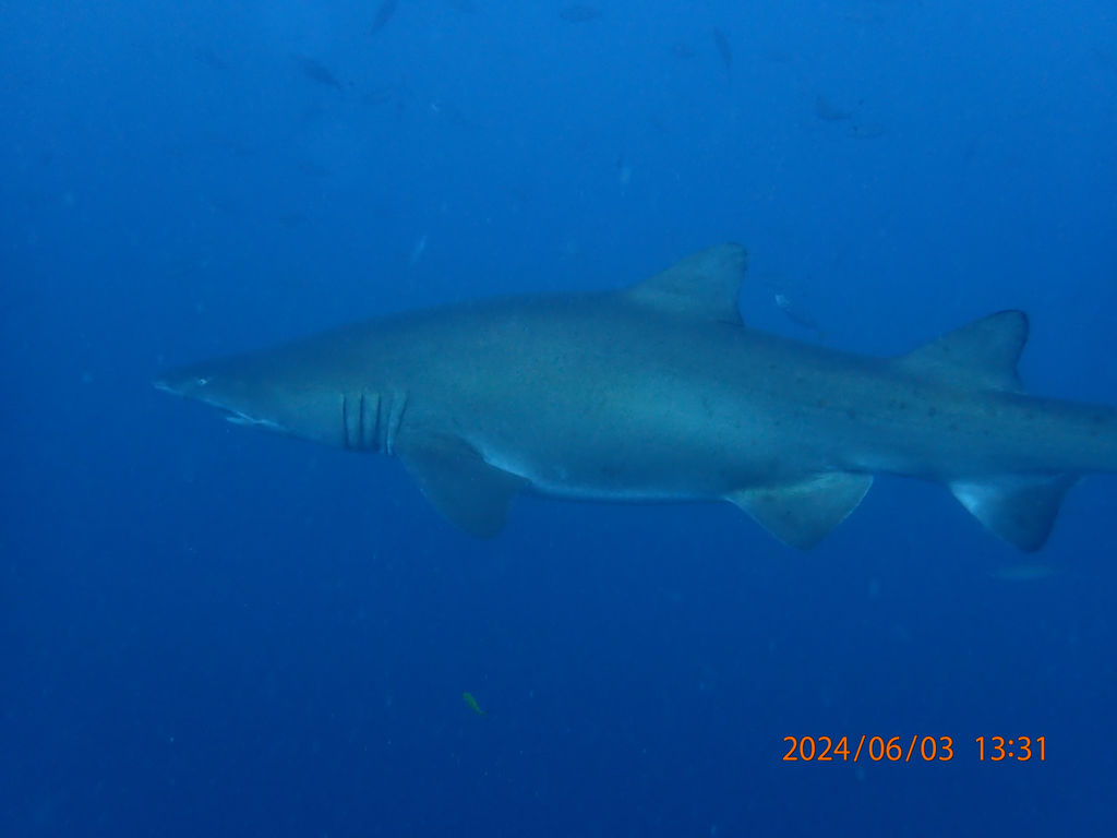 7a30bbb0-125c-495b-9247-2ad69c9dfd10