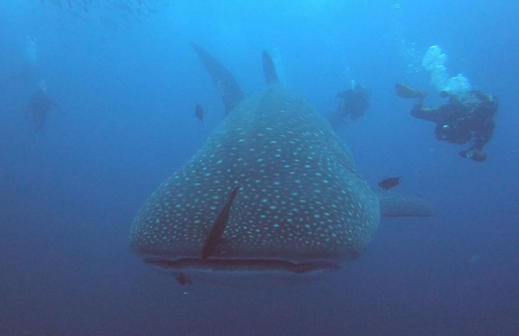 83182f3a-e999-4cd6-b867-075def96b870