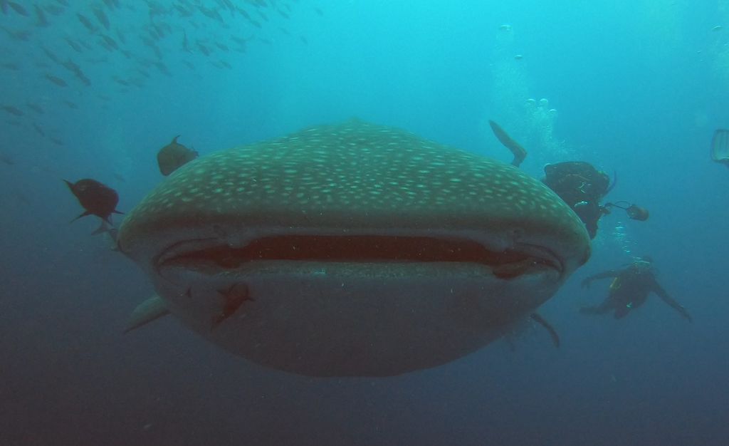 83182f3a-e999-4cd6-b867-075def96b870