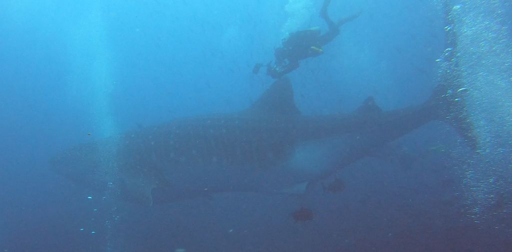 83182f3a-e999-4cd6-b867-075def96b870