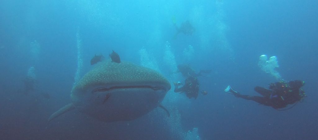 83182f3a-e999-4cd6-b867-075def96b870