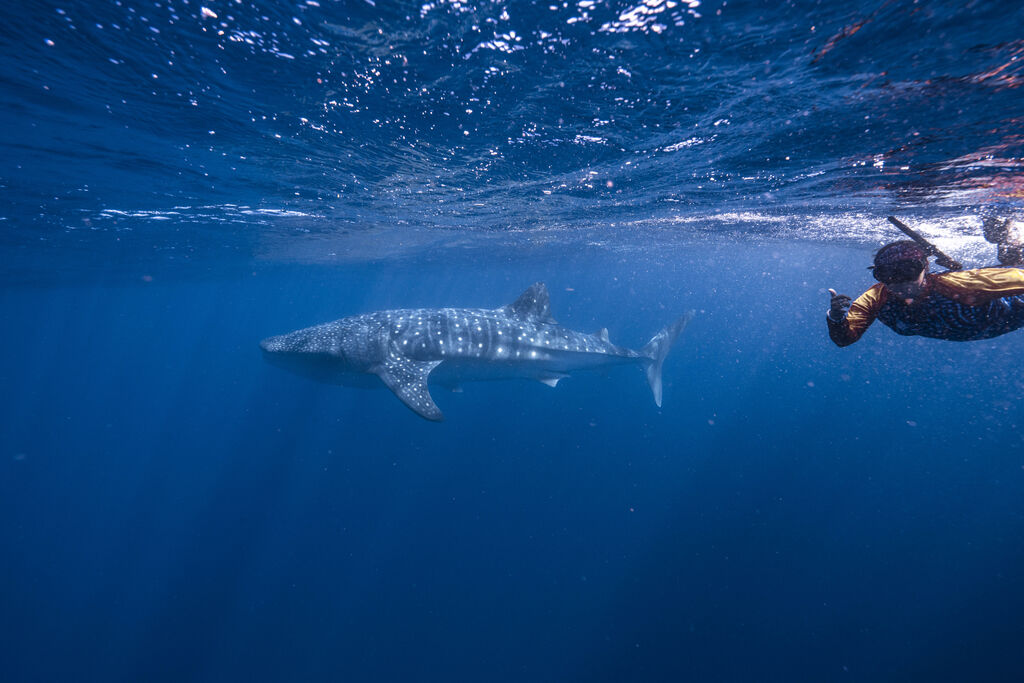 7abac9c6-27f5-4bc9-a318-65bd4758146a