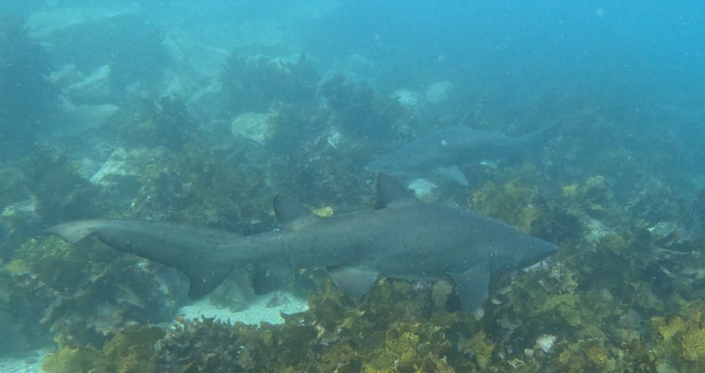 93251ab1-9047-4c1a-b0dc-4003203bbd5e